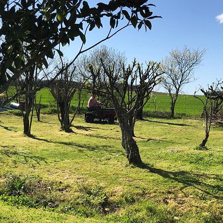 Bed and Breakfast Les Geais Saint-Pierre-la-Noue Esterno foto